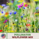 Wildflower Mix Landscaper’S Pack Bulk Topers Non GMO Pure Seeds 1000 Seeds Fast Growing Wildflower Mix Landscaper’S Pack Bulk Topers Non GMO Pure Seeds 1000 Seeds Fast Growing