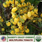 10 Barry S Crazy Cherry Multi Flora Tomato Seeds Organic Genuine Fast Growing 10 Barry S Crazy Cherry Multi Flora Tomato Seeds Organic Genuine Fast Growing