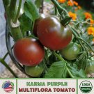 10 Karma Purple Multi Flora Tomato Seeds Organic Genuine Fast Growing 10 Karma Purple Multi Flora Tomato Seeds Organic Genuine Fast Growing