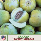 10 Sakata Sweet Melon Seeds Heirloom Non GMO Genuine Fast Growing