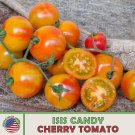 10 Isis Candy Cherry Tomato Seeds Open Pollinated Non GMO Genuine Fast Growing 10 Isis Candy Cherry Tomato Seeds Open Pollinated Non GMO Genuine Fast Growing