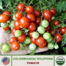 10 Columbianum Wildform Tomato Seeds Multi Flora Organic Genuine Fast Growing 10 Columbianum Wildform Tomato Seeds Multi Flora Organic Genuine Fast Growing