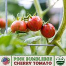20 Pink Bumblebee Cherry Tomato Seeds Organic Artisan Delicious Fast Growing 20 Pink Bumblebee Cherry Tomato Seeds Organic Artisan Delicious Fast Growing