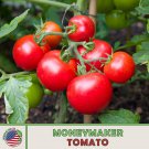 10 Moneymaker Tomato Seeds Heirloom Open Pollinated Non GMO Genuine Fast Growing