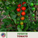 10 Sweetie Cherry Tomato Seeds Seedsless Open Pollinated Non GMO Genuine Fast Growing 10 Sweetie Cherry Tomato Seeds Seedsless Open Pollinated Non GMO Genuine Fast Growing