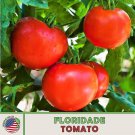 10 Floridade Tomato Seeds Heirloom Heat & Disease Resistant Genuine Fast Growing 10 Floridade Tomato Seeds Heirloom Heat & Disease Resistant Genuine Fast Growing