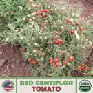 10 Red Centiflor Tomato Seeds Multi Flora Organic Non GMO Genuine Fast Growing 10 Red Centiflor Tomato Seeds Multi Flora Organic Non GMO Genuine Fast Growing