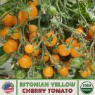 10 Rare Estonian Yellow Cherry Tomato Seeds Multi Flora Organic Genuine Fast Growing