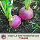 1000 Purple Top White Globe Turnip Seeds Brassica Rapa Non GMO Genuine Fast Growing 1000 Purple Top White Globe Turnip Seeds Brassica Rapa Non GMO Genuine Fast Growing
