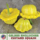 10 Gelber Englischer Custard Squash Seeds Heirloom Non GMO Genuine Fast Growing 10 Gelber Englischer Custard Squash Seeds Heirloom Non GMO Genuine Fast Growing