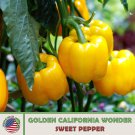 100 Golden California Wonder Sweet Pepper Seeds Non GMO Heirloom Genuine Fast Growing