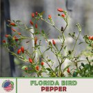 40 Florida Bird Pepper Seeds Chile Pequin Heirloom Non GMO Genuine Fast Growing