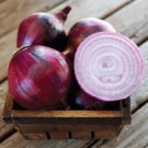 Red Spring Onion: 100 Seeds Fast Growing Red Spring Onion: 100 Seeds Fast Growing
