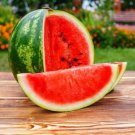 Cal Sweet Bush Watermelon: 10 Seeds Fast Growing