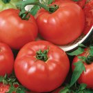 Brandymaster Red Tomato 15 Seeds Fast Growing Brandymaster Red Tomato 15 Seeds Fast Growing