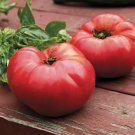 German Johnson Tomato 25 Seeds Fast Growing German Johnson Tomato 25 Seeds Fast Growing