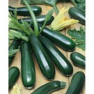 Black Beauty Zucchini Seeds Fast Growing Black Beauty Zucchini Seeds Fast Growing