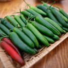 Pathfinder Serrano Pepper 20 Seeds Fast Growing Pathfinder Serrano Pepper 20 Seeds Fast Growing