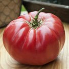 Caspian Pink Tomato Seeds Fast Growing