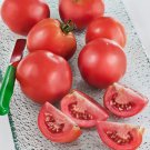 Early Girl Plus Tomato: 10 Seeds Fast Growing