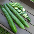Tasty Green Cucumber: 10 Seeds Fast Growing