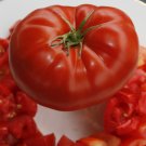 Big Beef Plus Tomato: 10 Seeds Fast Growing