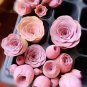 10 Pink Mountain Rose Seeds Rare pink succulent Greenovia Aurea ex El Hierro Seeds