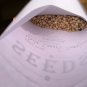 150 White Grain Dwarf Sorghum Seeds- SUPER FAST GROWING- FREE SHIPPING