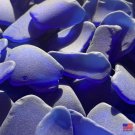 Large Cobalt Blue Sea Glass Jewelry Sea Glass Ocean Glass Tumbled Beach Sea Glass