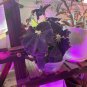 "SUPER DEAL" Begonia âBlack Trufflesâ - 4 inch pot RARE Nice BIG Plants