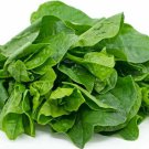 50 Green Malabar Spinach seeds MongToi Mu er cai Ceylon spinach Vine Spinach  Garden Plant