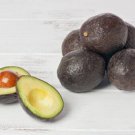 2 Seeds Stewart Avocado Organic Non Gmo Delicious Creamy Fruit Planting Garden
