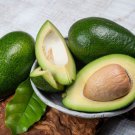 2 Seeds Brogden Avocado Organic Non Gmo Delicious Creamy A.K.A. Brogdon Planting Garden 2 Seeds Brogden Avocado Organic Non Gmo Delicious Creamy A.K.A. Brogdon Planting Garden