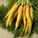 Solar Yellow Carrot Seeds 400 Vegetable Garden Nongmo Fast Shipping Solar Yellow Carrot Seeds 400 Vegetable Garden Nongmo Fast Shipping
