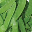Oregon Sugar Pod Ii Pea Seeds 25 Ct Snow Pod Vegetable Garden Heirloom Fast Shipping