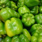 Yolo Wonder Pepper Seeds 50 Sweet Bell Vegetable Garden Nongmo Fast Shipping Yolo Wonder Pepper Seeds 50 Sweet Bell Vegetable Garden Nongmo Fast Shipping