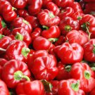 Sweet Pimento L Pepper Seeds 25 Mild Bell Vegetable Garden Annual Fast Shipping Sweet Pimento L Pepper Seeds 25 Mild Bell Vegetable Garden Annual Fast Shipping