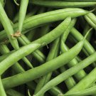 Strike Bean Seeds 50 Ct Bush Pod Green Vegetable Garden Heirloom Nongmo Fast Shipping