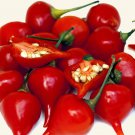 Biquinho Red Hot Pepper Seeds 50 Vegetable Garden Nongmo Fast Shipping Biquinho Red Hot Pepper Seeds 50 Vegetable Garden Nongmo Fast Shipping