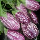 Eggplant Pandora Striped Rose Seeds 50 Vegetable Heirloom Nongmo Fast Shipping Eggplant Pandora Striped Rose Seeds 50 Vegetable Heirloom Nongmo Fast Shipping