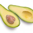 2 Seeds Pinkerton Avocado Organic Non Gmo Delicious Creamy Fast Shipping 2 Seeds Pinkerton Avocado Organic Non Gmo Delicious Creamy Fast Shipping