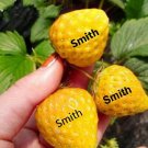 200 Seeds Yellow Strawberries Edible Healthy Fruit Garden Strawberry Fast Shipping 200 Seeds Yellow Strawberries Edible Healthy Fruit Garden Strawberry Fast Shipping