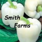 25 Seeds White Bell Peppers Sweet Garden Fresh Healthy Fast Shipping 25 Seeds White Bell Peppers Sweet Garden Fresh Healthy Fast Shipping
