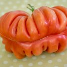 50 Seeds Zapotec Pink Ribbed Tomato Tomatoe Vegetable Garden Edible Canning Fast Shipping 50 Seeds Zapotec Pink Ribbed Tomato Tomatoe Vegetable Garden Edible Canning Fast Shipping