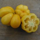 50 Seeds Yellow Stuffer Tomato Tomatoe Vegetable Garden Edible Canning Fast Shipping 50 Seeds Yellow Stuffer Tomato Tomatoe Vegetable Garden Edible Canning Fast Shipping