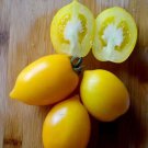 50 Seeds Wonder Light Tomato Tomatoe Vegetable Garden Edible Canning Fast Shipping