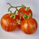50 Seeds Tiger Like Tomato Tomatoe Vegetable Garden Edible Canning Fast Shipping 50 Seeds Tiger Like Tomato Tomatoe Vegetable Garden Edible Canning Fast Shipping