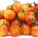 50 Seeds Sunrise Bumble Bee Tomato Tomatoe Vegetable Garden Edible Canning Fast Shipping 50 Seeds Sunrise Bumble Bee Tomato Tomatoe Vegetable Garden Edible Canning Fast Shipping