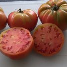 50 Seeds Russian Rose Tomato Tomatoe Vegetable Garden Edible Canning Fast Shipping