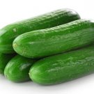 25 Seeds West Virginia Cucumbers Vegetable Garden Canning Cucks Crispy Fast Shipping